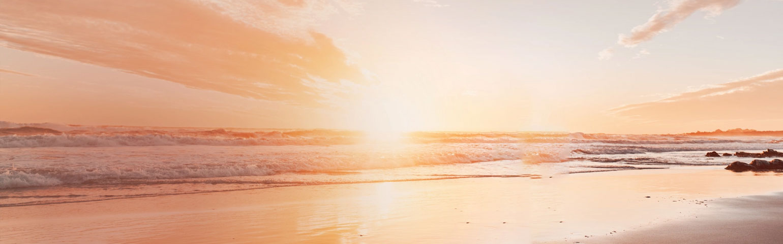 Alex Newman Mallorca